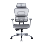 Zenox Ten-E 天依辦公椅 (灰色) (ZE-OC4188-GRY)